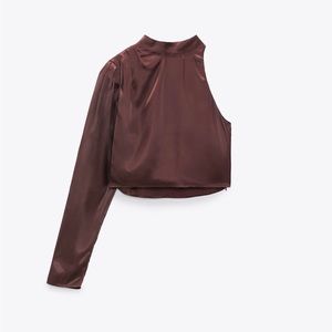 Zara Brown Crop Top NWT